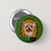 St. Patricks - Goldschatz - Yorkshire Terrier Button (Vorne & Hinten)