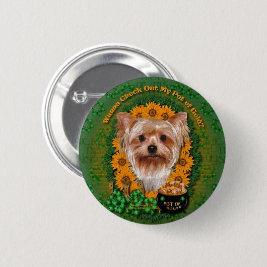 St. Patricks - Goldschatz - Yorkshire Terrier Button (Vorne & Hinten)