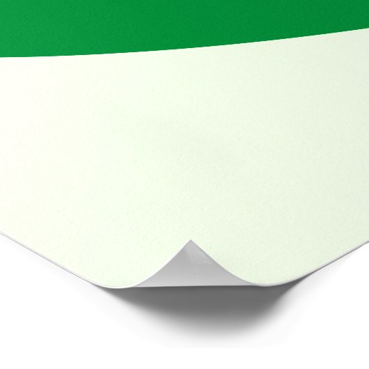 St. Patricks Hat Poster (Ecke)