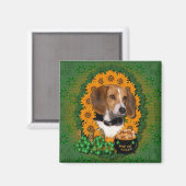 St Patricks - Pot of Gold - Beagle Magnet (Vorderseite/Rückseite)