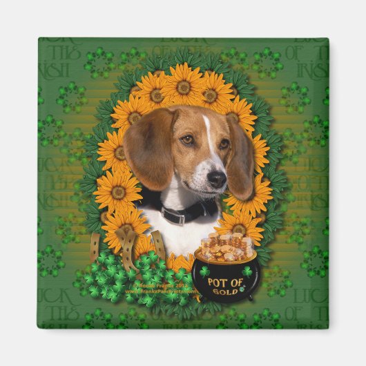 St Patricks - Pot of Gold - Beagle Magnet (Vorne)
