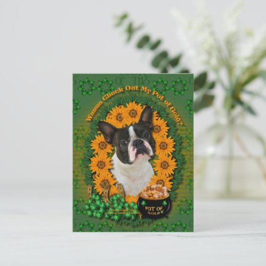 St Patricks - Pot of Gold - Boston Terrier Postkarte (Stehend Vorderseite)