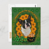 St Patricks - Pot of Gold - Boston Terrier Postkarte (Vorne/Hinten)