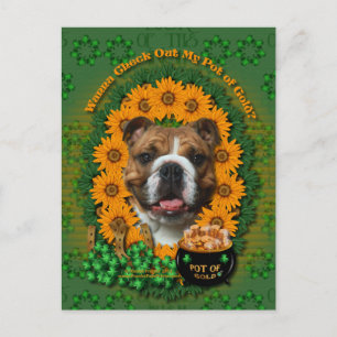St Patricks - Pot of Gold - Bulldog Postkarte