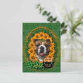 St Patricks - Pot of Gold - Bulldog Postkarte (Stehend Vorderseite)