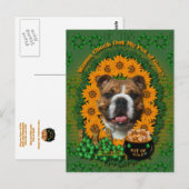 St Patricks - Pot of Gold - Bulldog Postkarte (Vorne/Hinten)