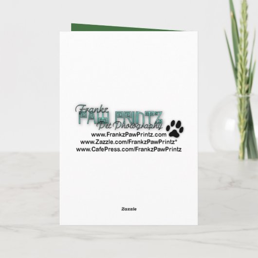 St Patricks - Pot of Gold - Cairn Terrier - Rosco Karte (Rückseite)