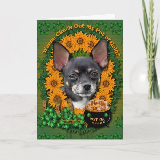 St Patricks - Pot of Gold - Chihuahua - Isabella Karte (Vorderseite)