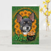 St Patricks - Pot of Gold - Chihuahua - Isabella Karte (Gelbe Blume)