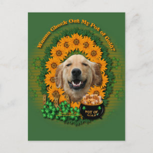St Patricks - Pot of Gold - Golden Retriever Micke Postkarte