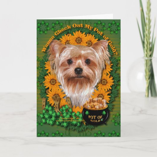 St Patricks - Pot of Gold - Yorkshire Terrier Karte (Vorderseite)