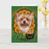 St Patricks - Pot of Gold - Yorkshire Terrier Karte (Gelbe Blume)