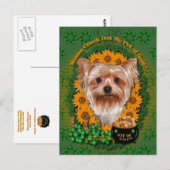 St Patricks - Pot of Gold - Yorkshire Terrier Postkarte (Vorne/Hinten)