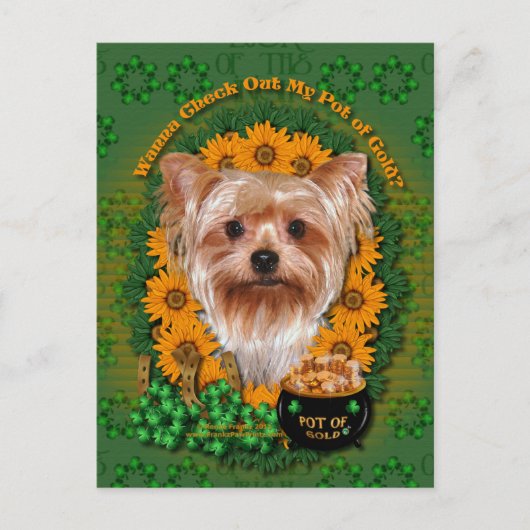 St Patricks - Pot of Gold - Yorkshire Terrier Postkarte (Vorderseite)