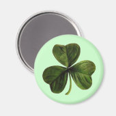 St. Patrick's Three Leaf Clover Magnet (Vorderseite/Rückseite)