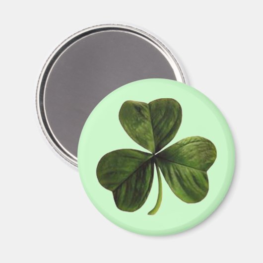 St. Patrick's Three Leaf Clover Magnet (Vorderseite/Rückseite)