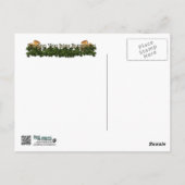 St Pats Day - Golden Doodles - Sadie und Izzie Postkarte (Rückseite)