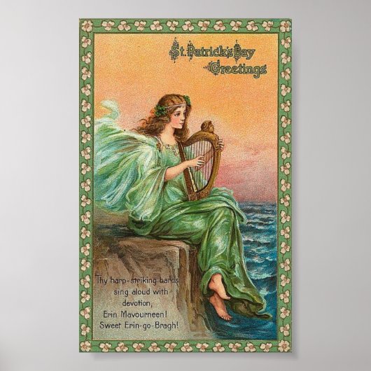 St. Pat's Harp Poster (Vorne)