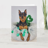 St Pats MinPin Karte (Vorderseite)