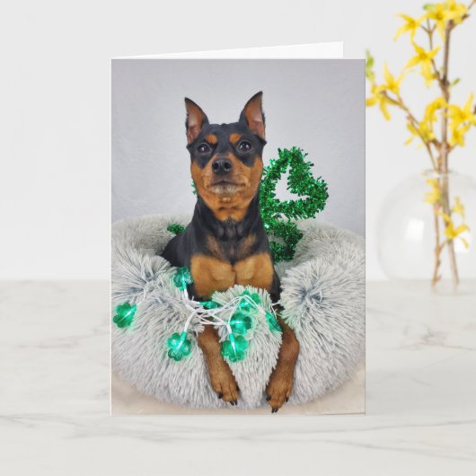 St Pats MinPin Karte (Gelbe Blume)