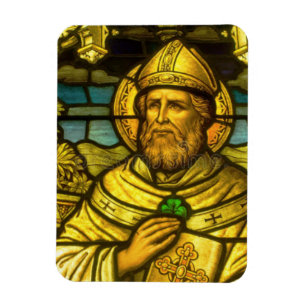 St. Patty Foto Magnet