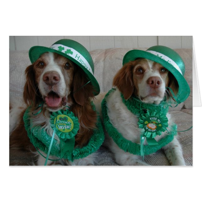 ST PATTY'S DAY BRITTANYS (Vorderseite (Horizontal))