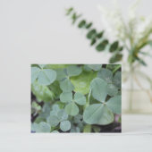 St Pattys Day Clover Mix Postkarte (Stehend Vorderseite)