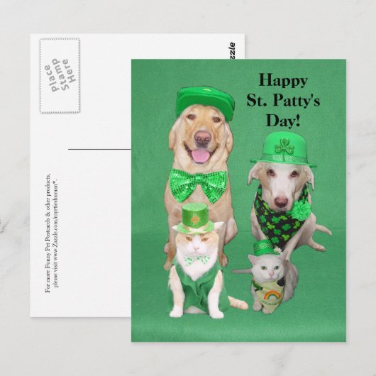 St. Patty's Day Postkarte (Vorne/Hinten)