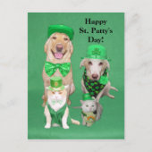 St. Patty's Day Postkarte (Vorderseite)