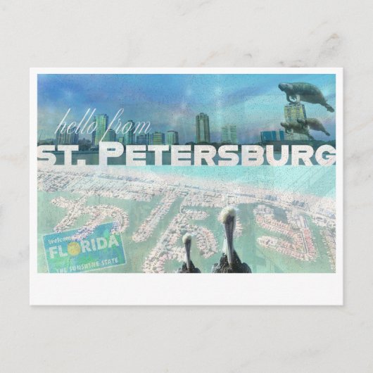 St. Pete Postcard Postkarte (Vorderseite)