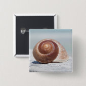 St. Petersburg des Seashell-|, Florida Button (Vorne & Hinten)