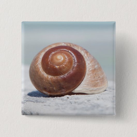 St. Petersburg des Seashell-|, Florida Button (Vorderseite)