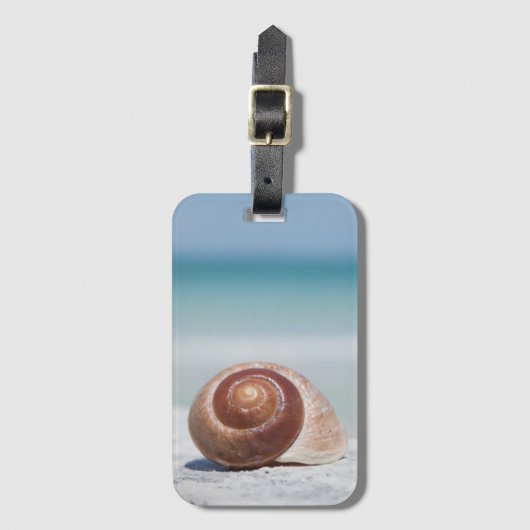 St. Petersburg des Seashell-|, Florida Gepäckanhänger (Vorderseite Vertikal)