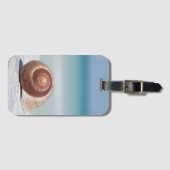 St. Petersburg des Seashell-|, Florida Gepäckanhänger (Vorderseite (Horizontal))