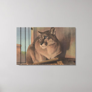 St. Petersburg, Florida - Bild von Florida Leinwanddruck