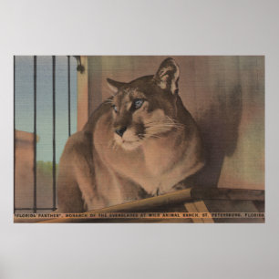 St. Petersburg, Florida - Bild von Florida Poster