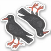 St. Piran's Day / St. Thomas Becket Choughs (fL) - Aufkleber (Vorderseite)