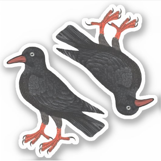 St. Piran's Day / St. Thomas Becket Choughs (fL) - Aufkleber (Vorderseite)
