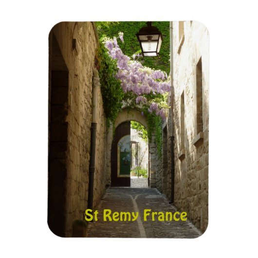 St Remy France Magnet (Vertikal)