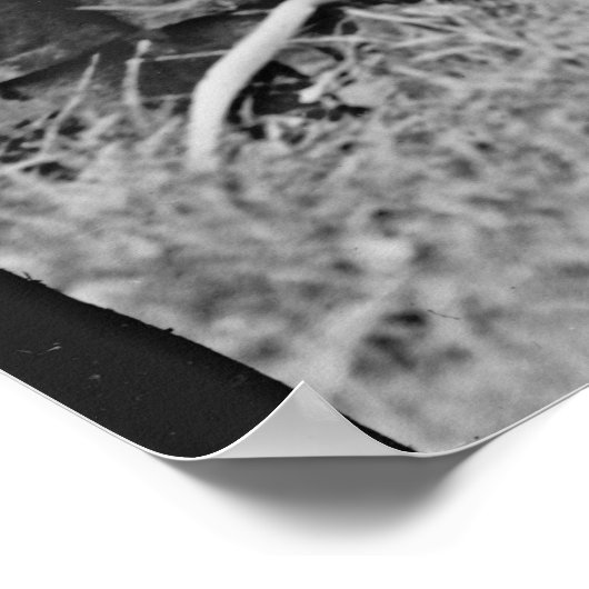 St. Rita's School Students Cincinnati 1918 Poster (Ecke)