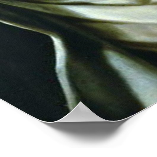 St. Rose Lima Poster (Ecke)