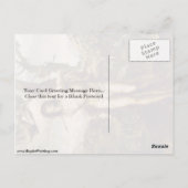 St. Sebastian und Madonna mit Heiligen von Sodoma Postkarte (Rückseite)