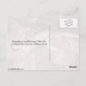 St. Sebastian Von Guido Reni Postkarte (Rückseite)