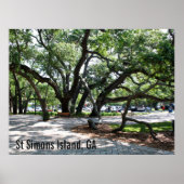 St Simons GA Wandereiche Foto Poster (Vorne)