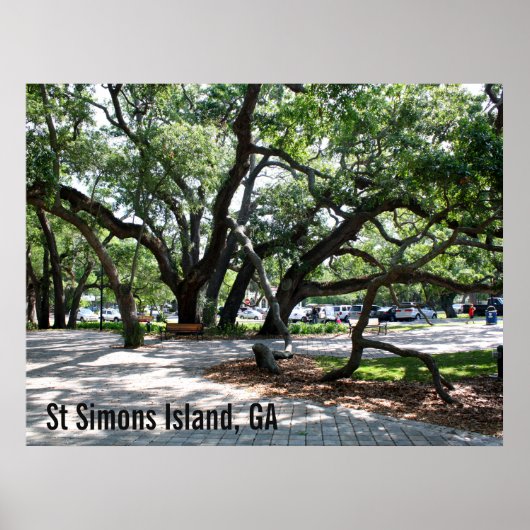 St Simons GA Wandereiche Foto Poster (Vorne)