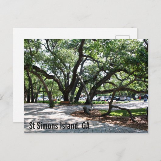 St Simons GA Wandereiche Postkarte (Vorne/Hinten)