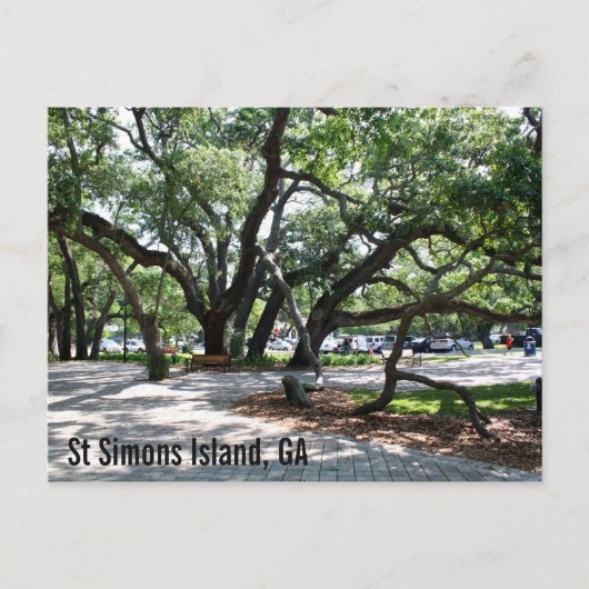 St Simons GA Wandereiche Postkarte (Vorderseite)