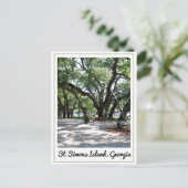 St Simons GA Wandereiche Tree Postkarte (Stehend Vorderseite)