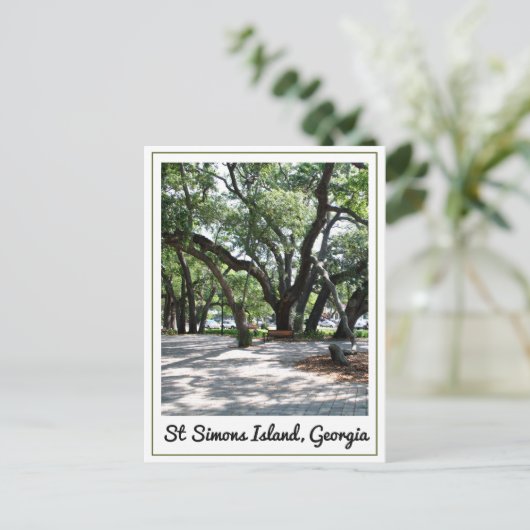 St Simons GA Wandereiche Tree Postkarte (Stehend Vorderseite)
