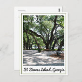 St Simons GA Wandereiche Tree Postkarte (Vorne/Hinten)